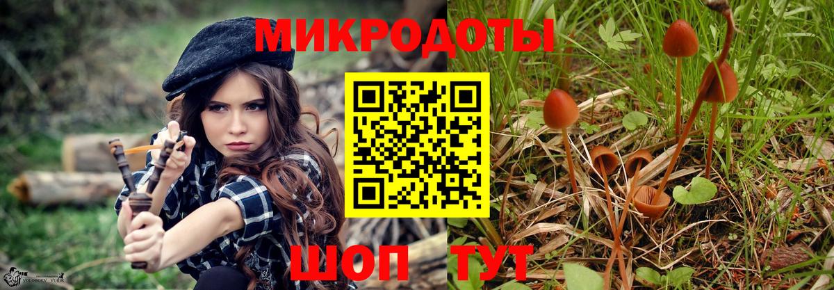 Ростов-на-Дону  Псилоцибиновые грибы Magic Shrooms  Вход с VPN  Псилоцибиновые грибы Psilocybine cubensis 